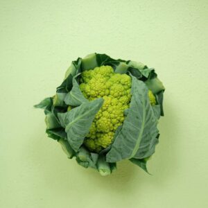 Cauliflower - quickstora